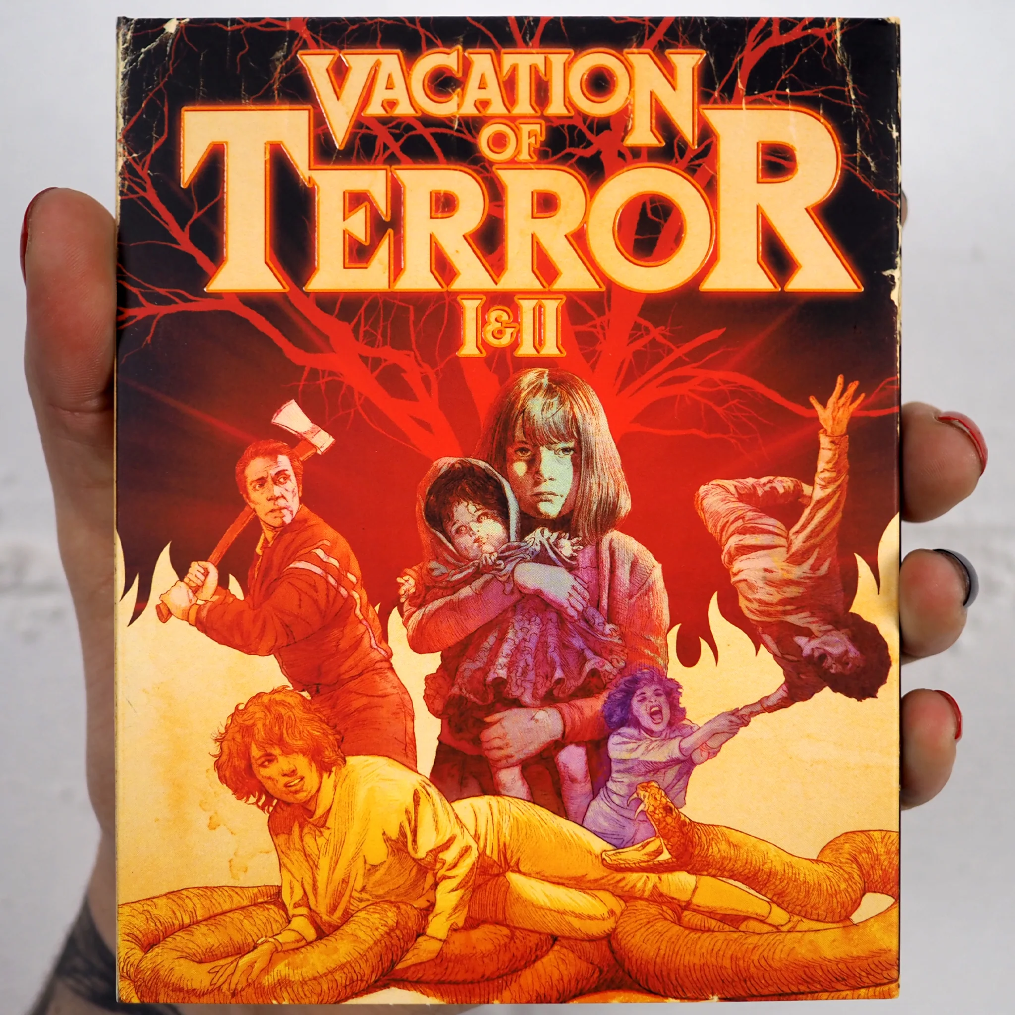 Thumbnail 1